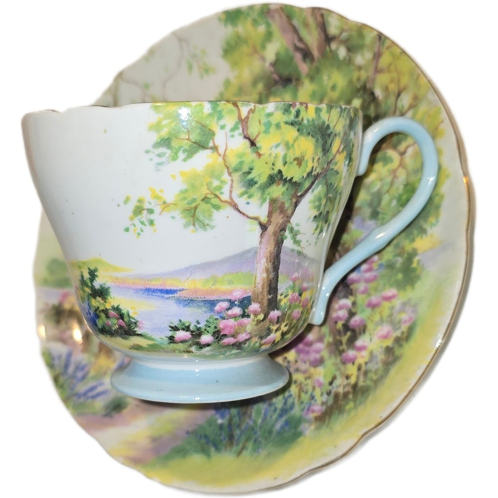 Shelley England Woodland 13348 Fine Bone China Teacup and Saucer Set Vintage
